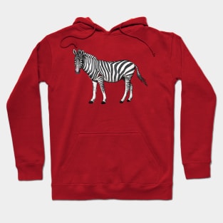 Zebra Hoodie